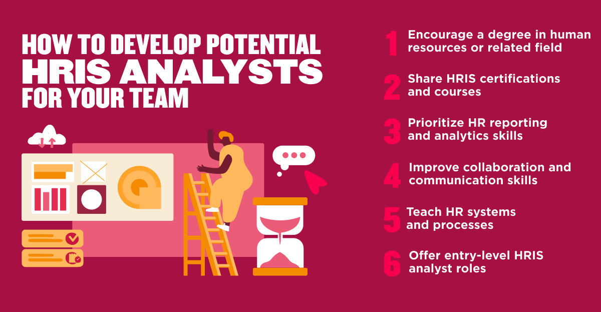 HRIS analyst infographic